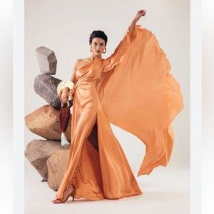 Insanely Beautiful Cult Gaia Cosette Gown